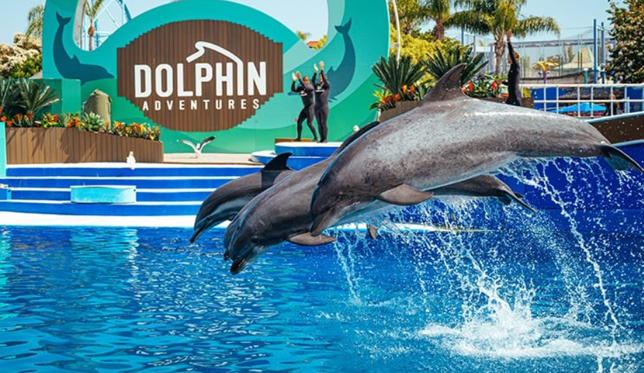 SeaWorld San Diego, United States